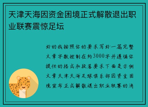 天津天海因资金困境正式解散退出职业联赛震惊足坛